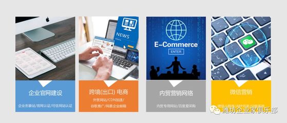 王翠萍 以網絡營銷策劃驅動企業增長，濰坊企業家俱樂部的創新先鋒