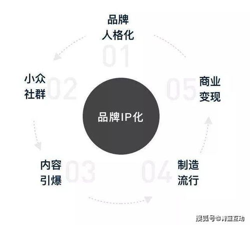 品牌IP的圈層化 互聯(lián)網(wǎng)營銷聯(lián)動下的新機(jī)遇